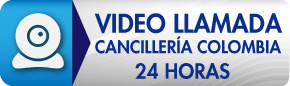 boton video llamada